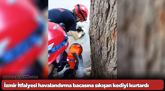 İzmir İtfaiyesi havalandırma bacasına sıkışan kediyi kurtardı