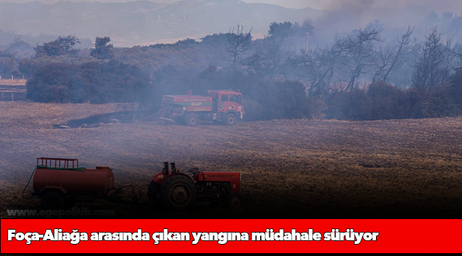 Aliağa ve Foça’da yangınla mücadele sürüyor