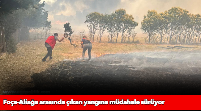 Foça-Aliağa arasında çıkan yangına müdahale sürüyor