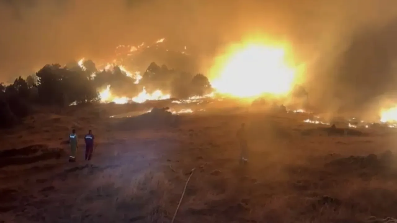 Türkiye&#039;nin dört bir yanı alevlere teslim: İzmir, Karabük, Afyonkarahisar...