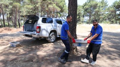 Buca Belediyesi’nden can dostları için hayati hamle