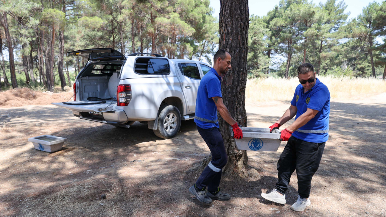 Buca Belediyesi’nden can dostları için hayati hamle