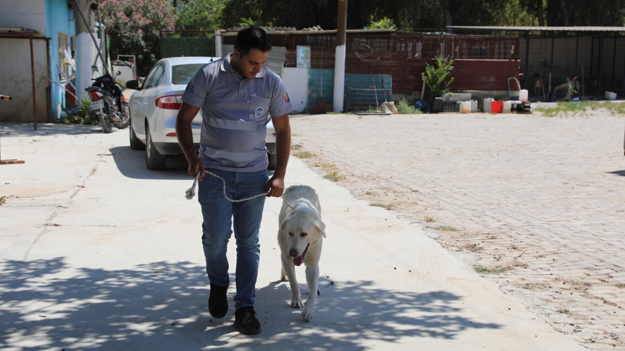 Efes Selçuk’ta “Satın Alma Sahiplen” Çağrısı