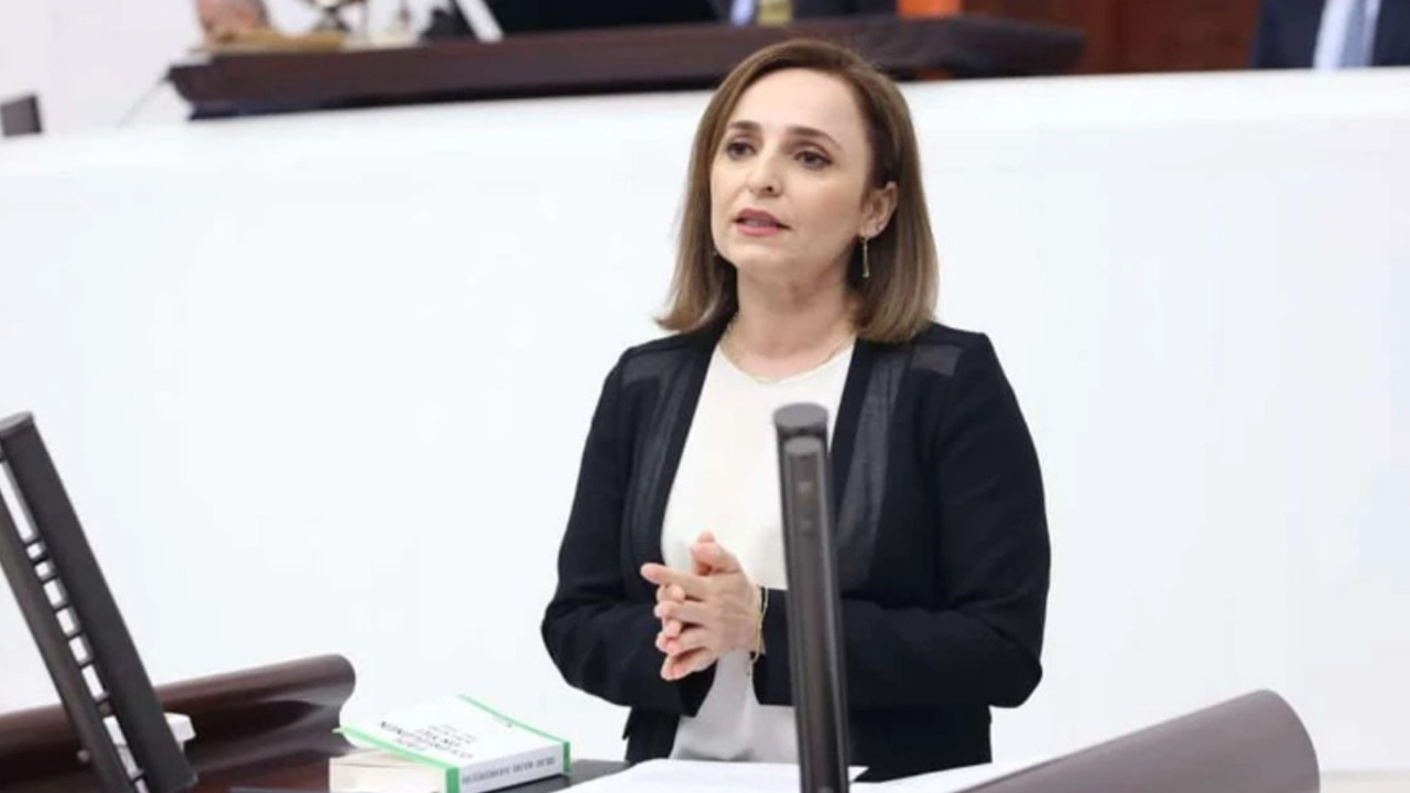 Ayşegül Doğan&#039;dan CHP&#039;ye sert eleştiri! Özel&#039;in sözlerine tepki gösterdi