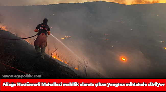 Aliağa Hacıömerli Mahallesi makilik alanda çıkan yangına müdahale sürüyor