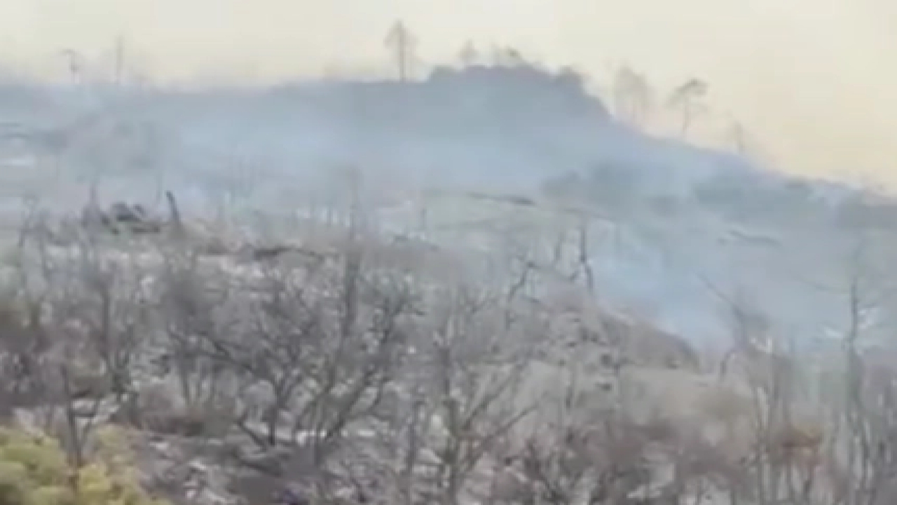 Bursa Büyükşehir yangınlarda son durumu bildirdi