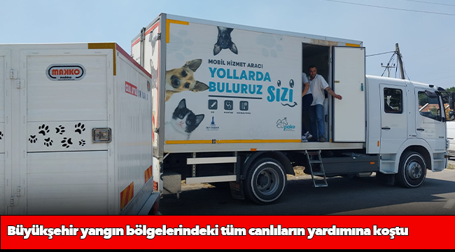 Büyükşehir yangın bölgelerindeki tüm canlıların yardımına koştu