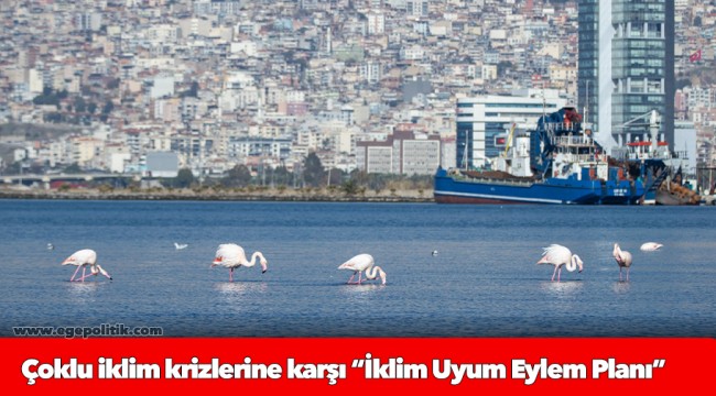 Çoklu iklim krizlerine karşı “İklim Uyum Eylem Planı”   