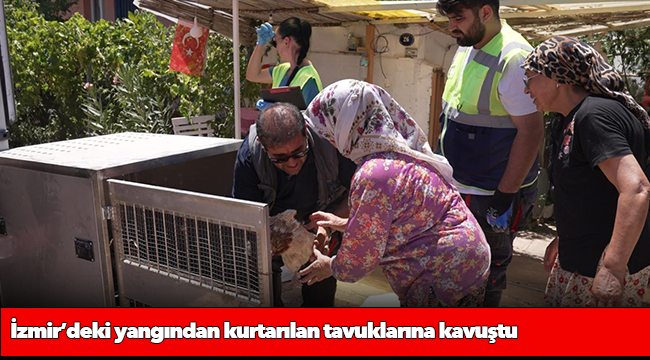 İzmir’deki yangından kurtarılan tavuklarına kavuştu