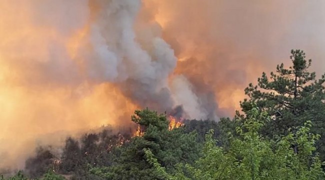 Kavurucu sıcaklar geliyor: Bakan Yumaklı&#039;dan &#039;orman yangını&#039; uyarısı!