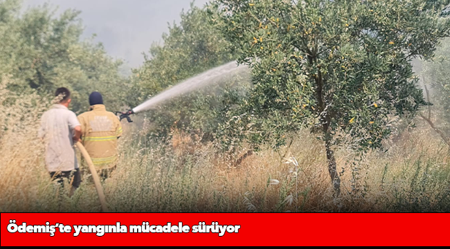 Ödemiş’te yangınla mücadele sürüyor