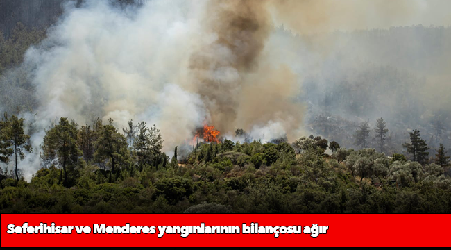 Seferihisar ve Menderes yangınlarının bilançosu ağır