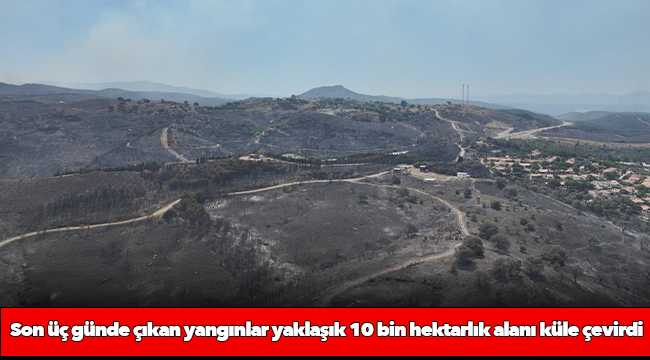 Son üç günde çıkan yangınlar yaklaşık 10 bin hektarlık alanı küle çevirdi