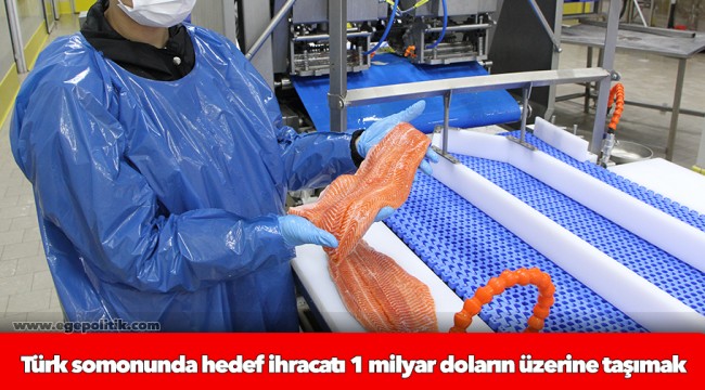 Türk somonunda hedef ihracatı 1 milyar doların üzerine taşımak
