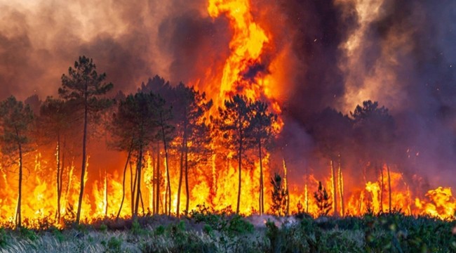 Türkiye&#039;nin dört bir yanı yanıyor: &#039;TSK rol almalı&#039;