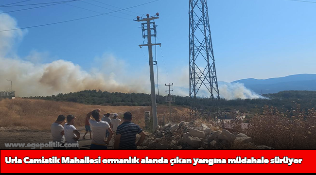 Urla Camiatik Mahallesi ormanlık alanda çıkan yangına müdahale sürüyor