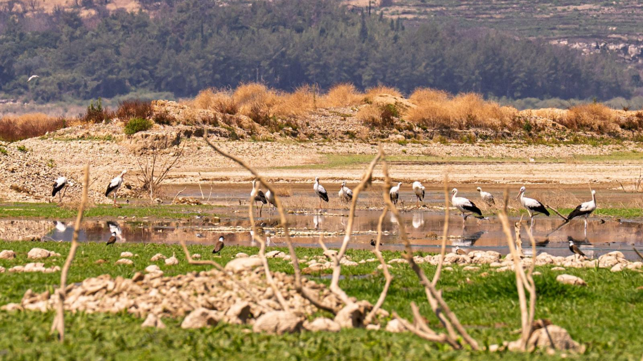 Her damla çok değerli!