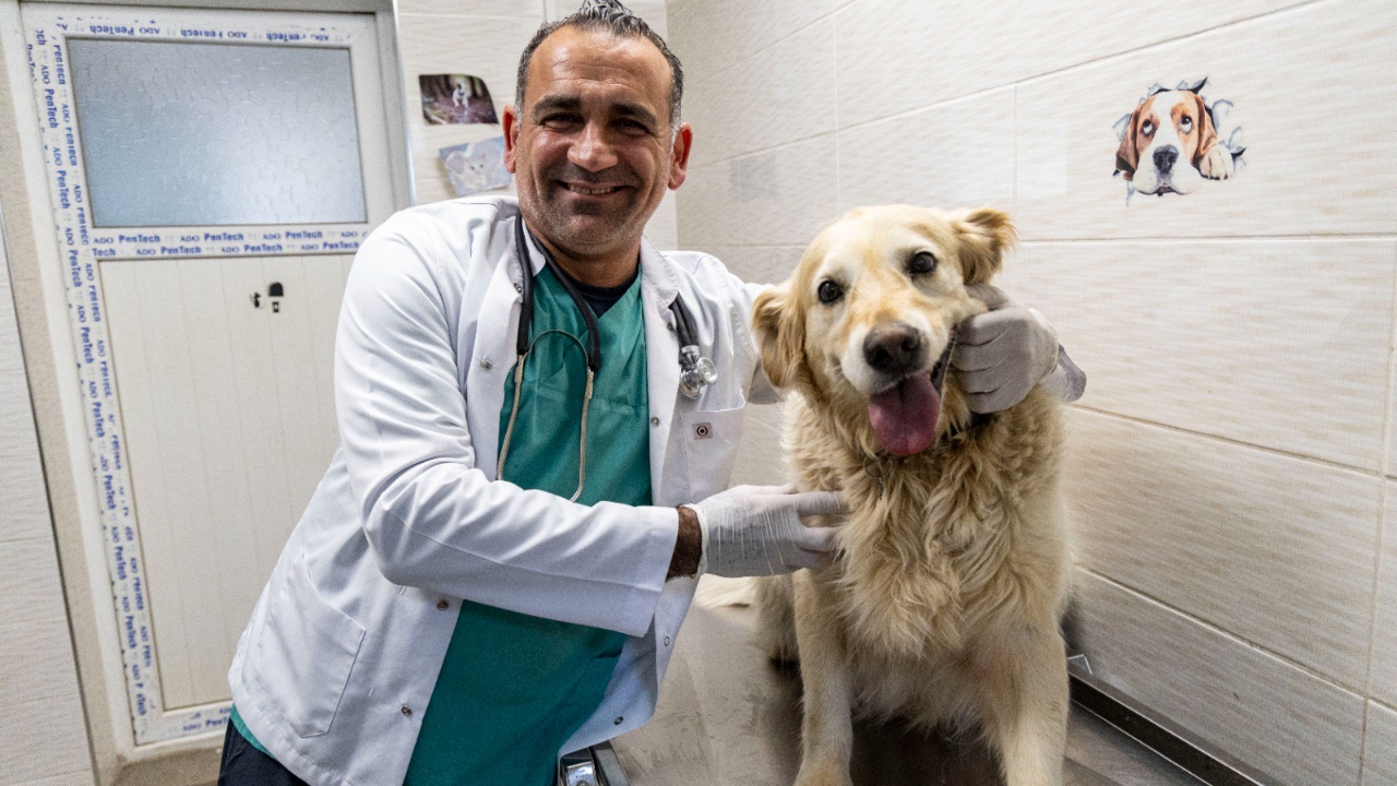 Karşıyaka’da can dostlara kapsamlı hizmet