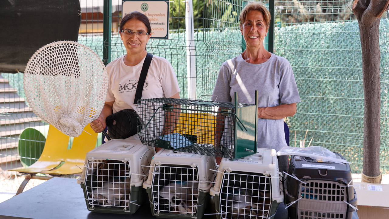 Buca&#039;da 212 patili dost daha yeni ailesine kavuştu