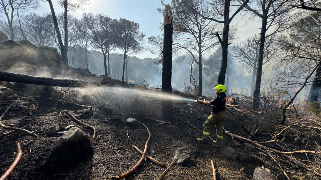 İzmir İtfaiyesi Bergama’da alevlerle mücadele ediyor