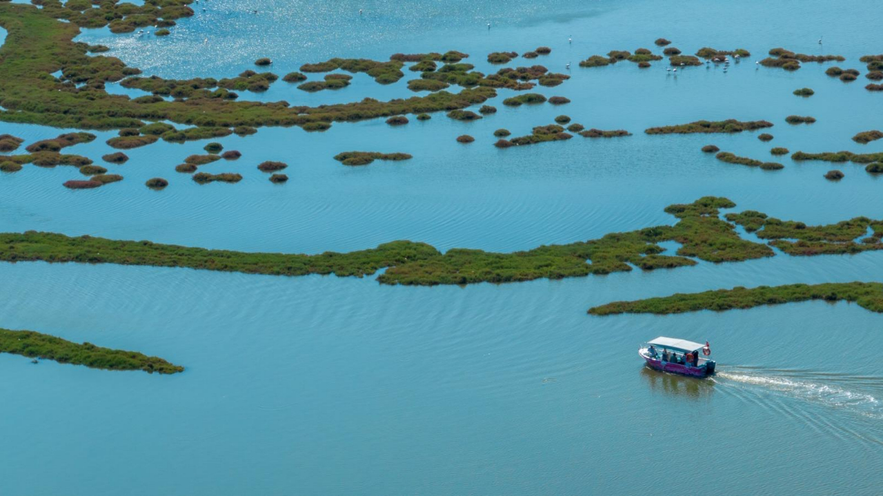 Flamingo Yolu turları başladı