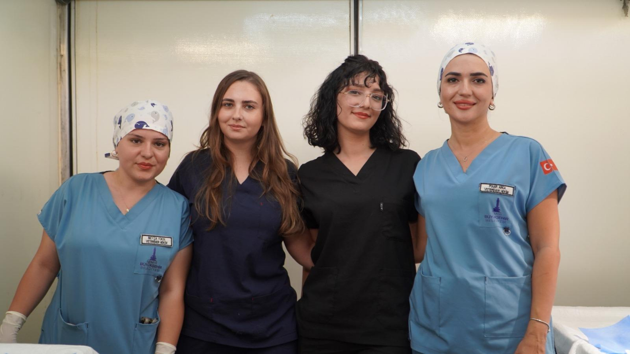 7 bin kediye mobil kısırlaştırma