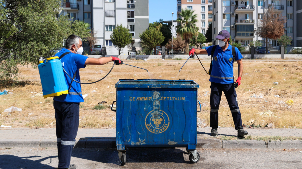 Buca’da haşere ve sineklere karşı 24 saat mücadele