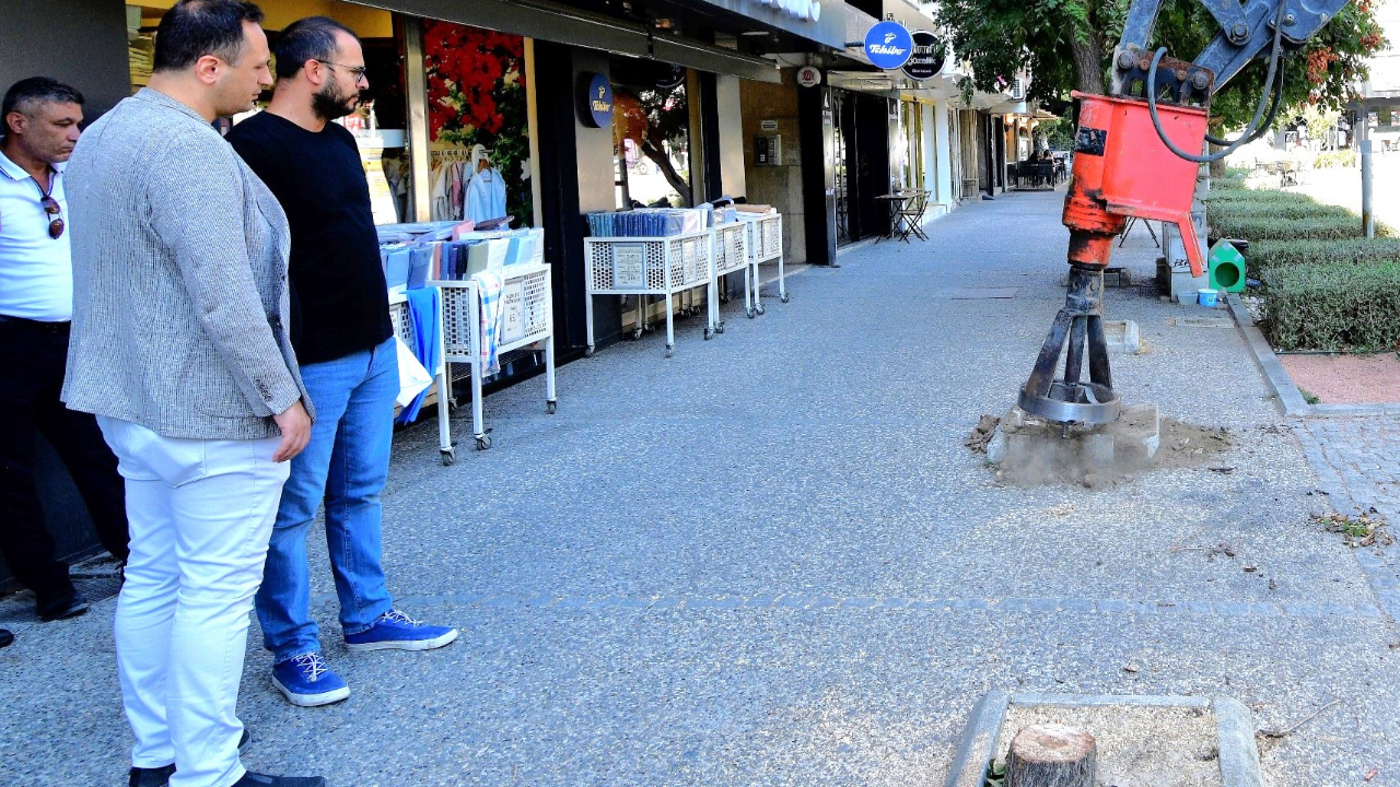 Bornova sakura ve tarçın kokacak