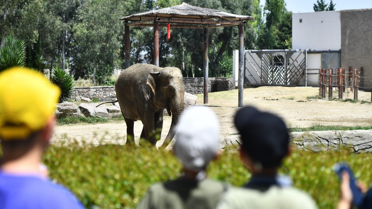 Doğal Yaşam Parkı’nda kış saati uygulaması başlıyor