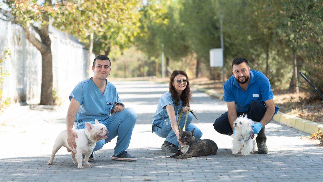 İzmir’de el konulan 20 cins köpek Işıkkent Köpek Bakımevi’nde