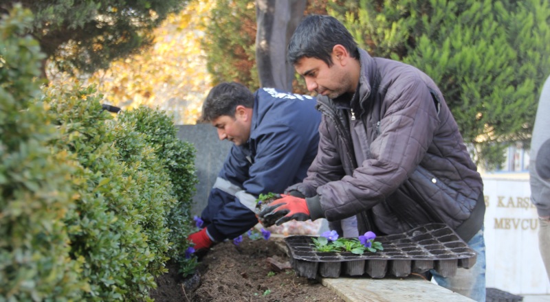 210 Bin Çiçek Dikildi