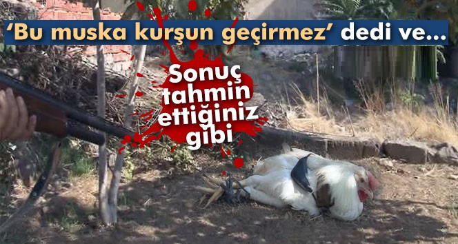 'Kurşun geçirmeyen' muskayı horoza taktı; horozu tüfekle vurdu ve horoz öldü!