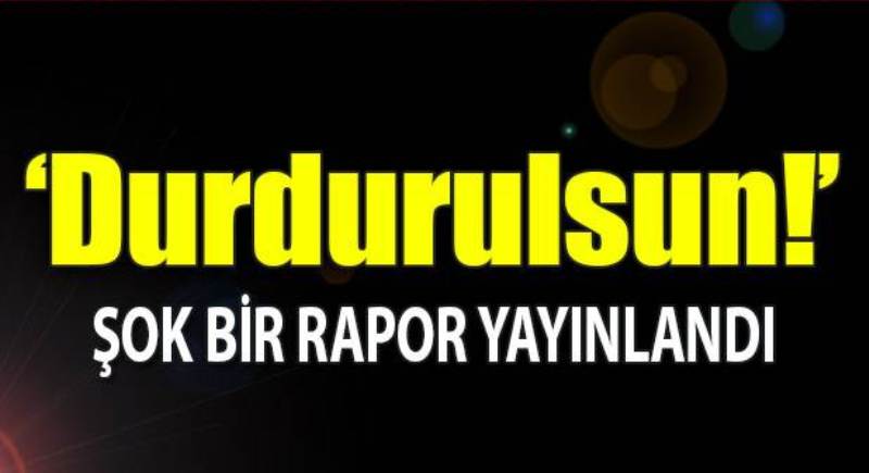 'Türkiye'ye hayvan ihracatı durdurulsun'