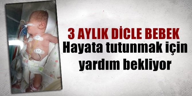 3 aylık Dicle bebek yaşama tutunmak için yardım bekliyor