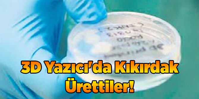 3D Yazıcı'da Kıkırdak Ürettiler!