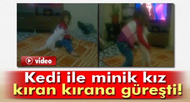 3 yaşındaki kız kedisini güreşerek seviyor