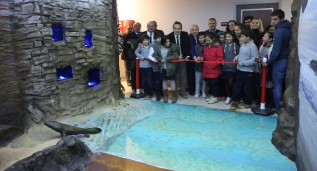 545 milyon yıllık yolculuk büyük bir ilgi ile başladı