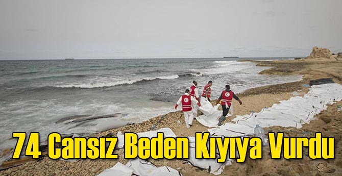 74 Cansız Beden Kıyıya Vurdu