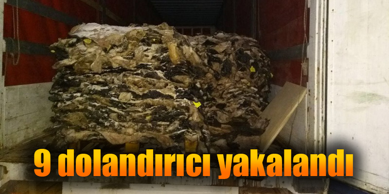 9 dolandırıcı yakalandı