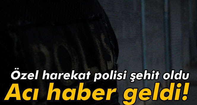 Acı haber geldi! Özel harekat polisi şehit oldu