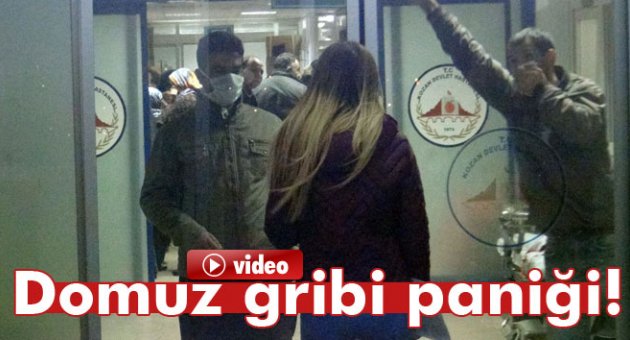 Adana'da domuz gribi paniği