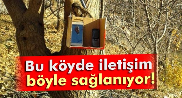 Ağaca asılan kutudan iletişim