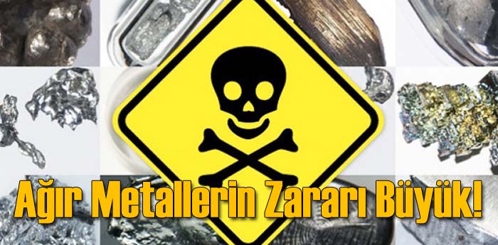 Ağır Metallerin Zararı Büyük!