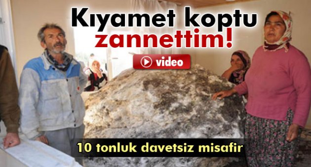 Ağır misafir oturma odasına daldı!