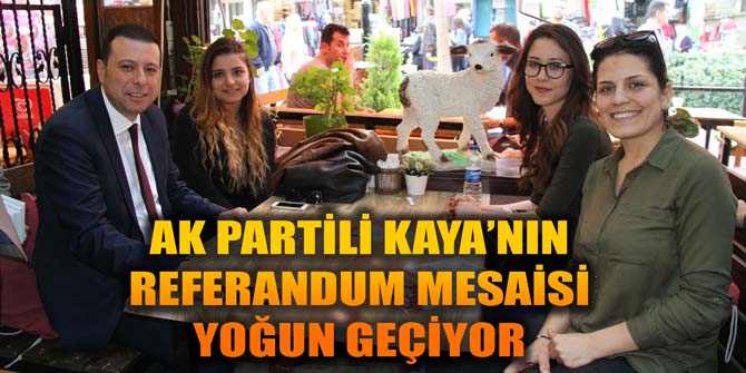 Ak Partili Kaya'nın referandum mesaisi yoğun geçiyor