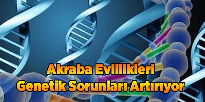 Akraba Evlilikleri Genetik Sorunları Artırıyor