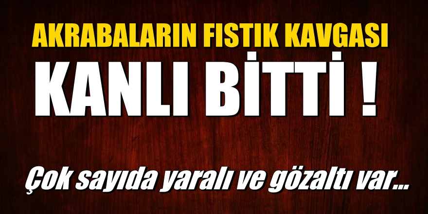 Akrabaların fıstık kavgası kanlı bitti! Çok sayıda yaralı ve gözaltı var...