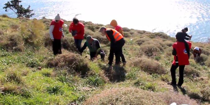 Aktiffelsefe Gea, Foça’da ağaçlandırma ve ekoloji faaliyeti gerçekleştirdi