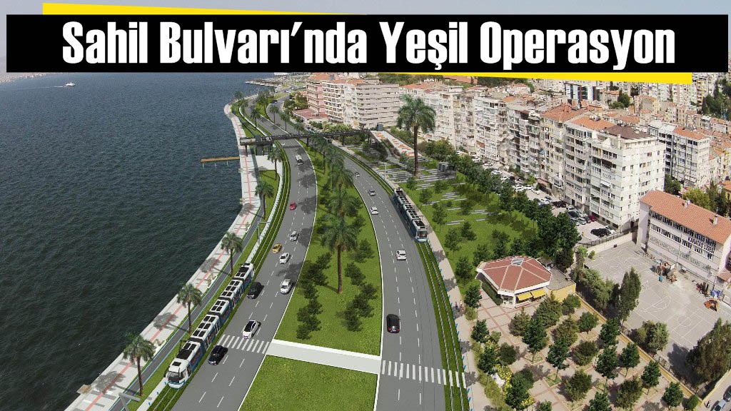 Alandaki Ağaç Sayısı İkiye Katlanacak