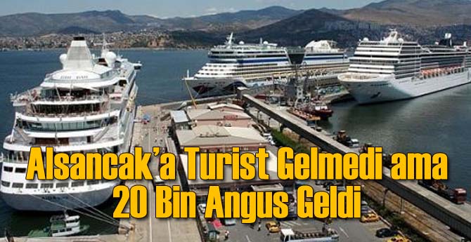 Alsancak'a Turist Gelmedi ama Anguslar Geldi